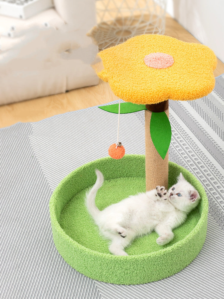 Interactive Fun for Your Furry Friends: Pet Claw Grinding Teasing Toys